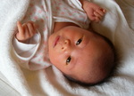 100SANPH-SANY0255_SANY0255.01.jpg